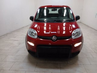 FIAT Panda 1.0 firefly hybrid s&s 70cv