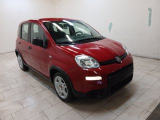 FIAT Panda 1.0 firefly hybrid s&s 70cv
