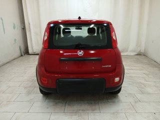 FIAT Panda 1.0 firefly hybrid s&s 70cv