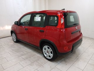 FIAT Panda 1.0 firefly hybrid s&s 70cv