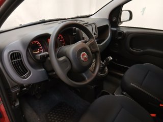 FIAT Panda 1.0 firefly hybrid s&s 70cv