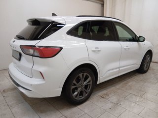 FORD Kuga 1.5 ecoblue st-line 2wd 120cv auto