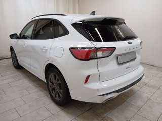 FORD Kuga 1.5 ecoblue st-line 2wd 120cv auto