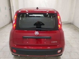 FIAT Pandina 1.0 firefly hybrid icon s&s 70cv 5p.ti