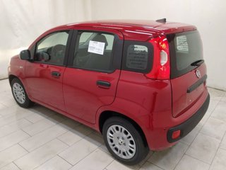 FIAT Pandina 1.0 firefly hybrid icon s&s 70cv 5p.ti