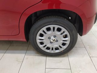 FIAT Pandina 1.0 firefly hybrid icon s&s 70cv 5p.ti
