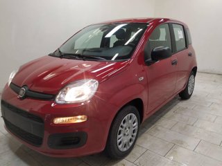 FIAT Pandina 1.0 firefly hybrid icon s&s 70cv