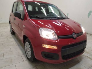 FIAT Pandina 1.0 firefly hybrid icon s&s 70cv