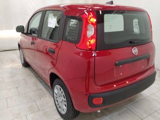 FIAT Pandina 1.0 firefly hybrid icon s&s 70cv