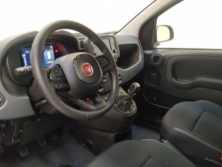 FIAT Pandina 1.0 firefly hybrid icon s&s 70cv