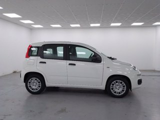 FIAT Pandina 1.0 firefly hybrid pop s&s 70cv