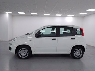 FIAT Pandina 1.0 firefly hybrid pop s&s 70cv