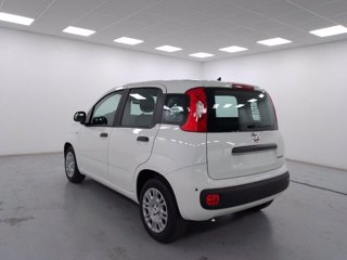 FIAT Pandina 1.0 firefly hybrid pop s&s 70cv