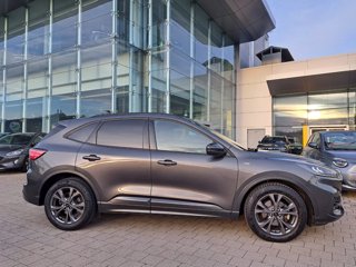 FORD Kuga 2.0 ecoblue mhev st-line 2wd 150cv