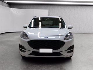 FORD Kuga 1.5 ecoblue st-line 2wd 120cv auto