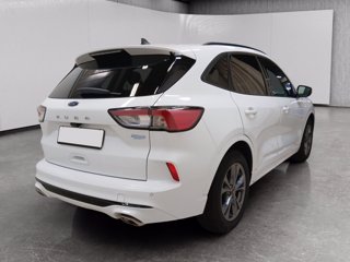 FORD Kuga 1.5 ecoblue st-line 2wd 120cv auto