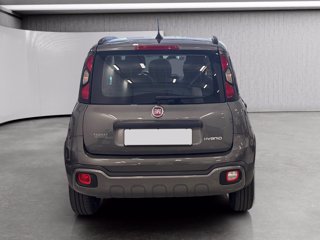 FIAT Panda 1.0 firefly hybrid city cross s&s 70cv 5p.ti