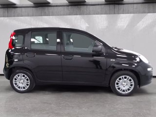 FIAT Pandina 1.0 firefly hybrid pop s&s 70cv