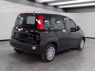 FIAT Pandina 1.0 firefly hybrid pop s&s 70cv