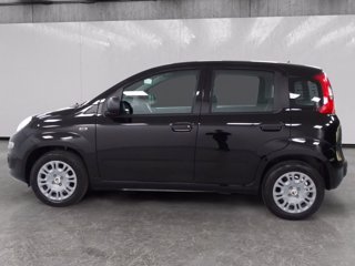 FIAT Pandina 1.0 firefly hybrid pop s&s 70cv