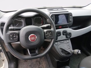 FIAT Panda 1.0 firefly hybrid cross s&s 70cv 5p.ti