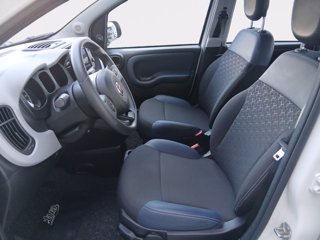 FIAT Panda 1.0 firefly hybrid city cross s&s 70cv 5p.ti