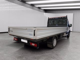 FORD Transit 350 2.0 tdci mhev 170cv trend l3 scattolini fisso