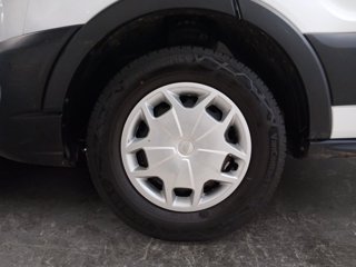 FORD Transit 350 2.0 tdci mhev 170cv trend l3 scattolini fisso