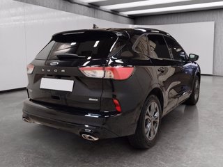 FORD Kuga 2.5 full hybrid st-line x awd 190cv cvt