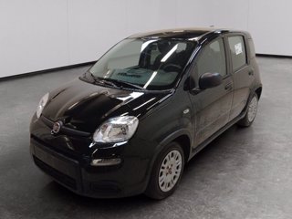 FIAT Panda 1.0 firefly hybrid s&s 70cv 5p.ti