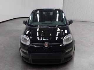 FIAT Panda 1.0 firefly hybrid s&s 70cv 5p.ti