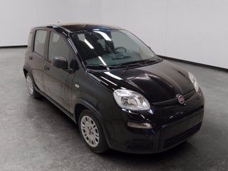 FIAT Panda 1.0 firefly hybrid s&s 70cv 5p.ti
