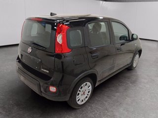 FIAT Panda 1.0 firefly hybrid s&s 70cv 5p.ti