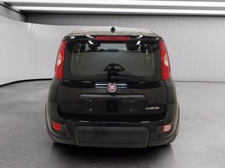 FIAT Panda 1.0 firefly hybrid s&s 70cv 5p.ti