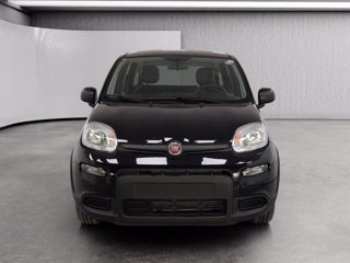FIAT Panda 1.0 firefly hybrid s&s 70cv