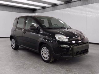 FIAT Panda 1.0 firefly hybrid s&s 70cv