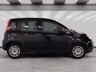 FIAT Panda 1.0 firefly hybrid s&s 70cv