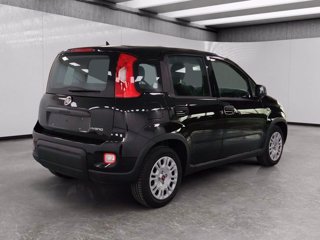 FIAT Panda 1.0 firefly hybrid s&s 70cv