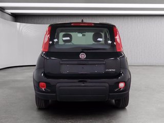 FIAT Panda 1.0 firefly hybrid s&s 70cv