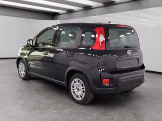 FIAT Panda 1.0 firefly hybrid s&s 70cv
