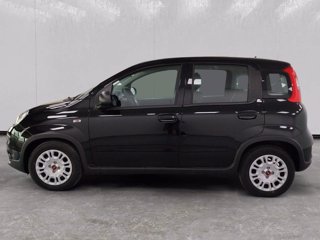 FIAT Panda 1.0 firefly hybrid s&s 70cv