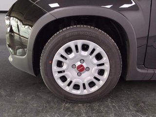 FIAT Panda 1.0 firefly hybrid s&s 70cv
