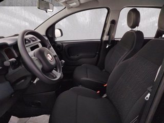 FIAT Panda 1.0 firefly hybrid s&s 70cv
