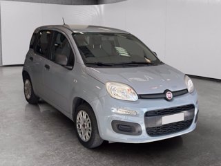 FIAT Panda 1.2 easy 69cv