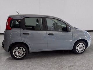 FIAT Panda 1.2 easy 69cv