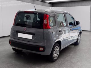 FIAT Panda 1.2 easy 69cv