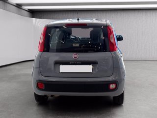 FIAT Panda 1.2 easy 69cv