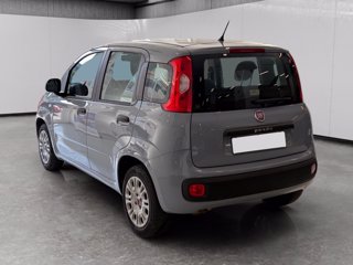 FIAT Panda 1.2 easy 69cv