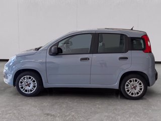 FIAT Panda 1.2 easy 69cv