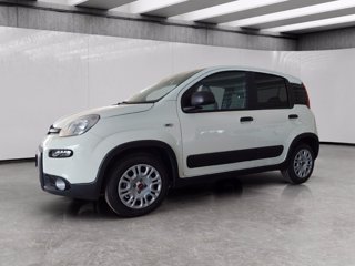 FIAT Panda van 1.0 hybrid street 70cv 4p.ti serie 4 e6d